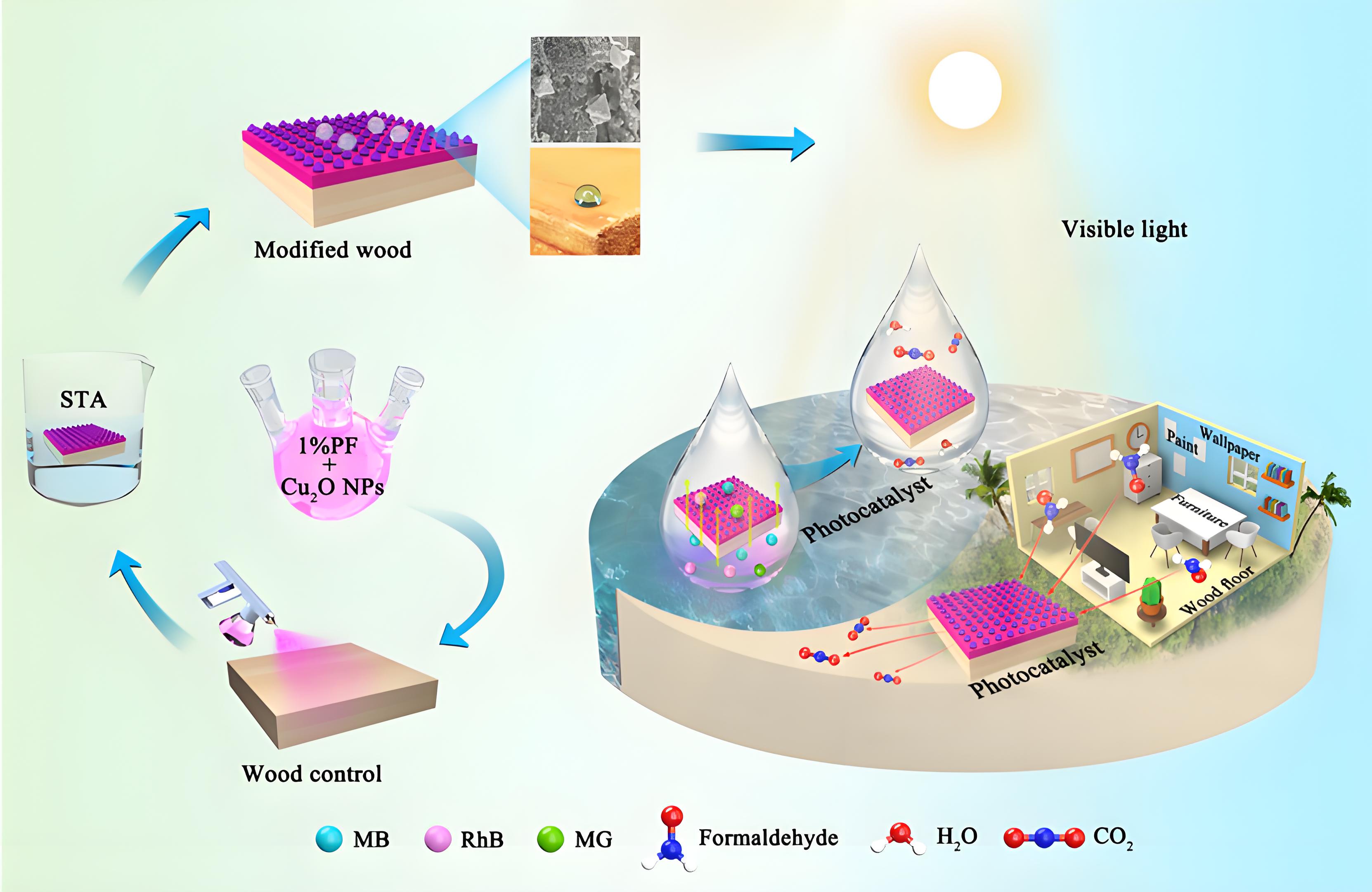 光降解和生物降解塑料袋區(qū)別？(圖1)