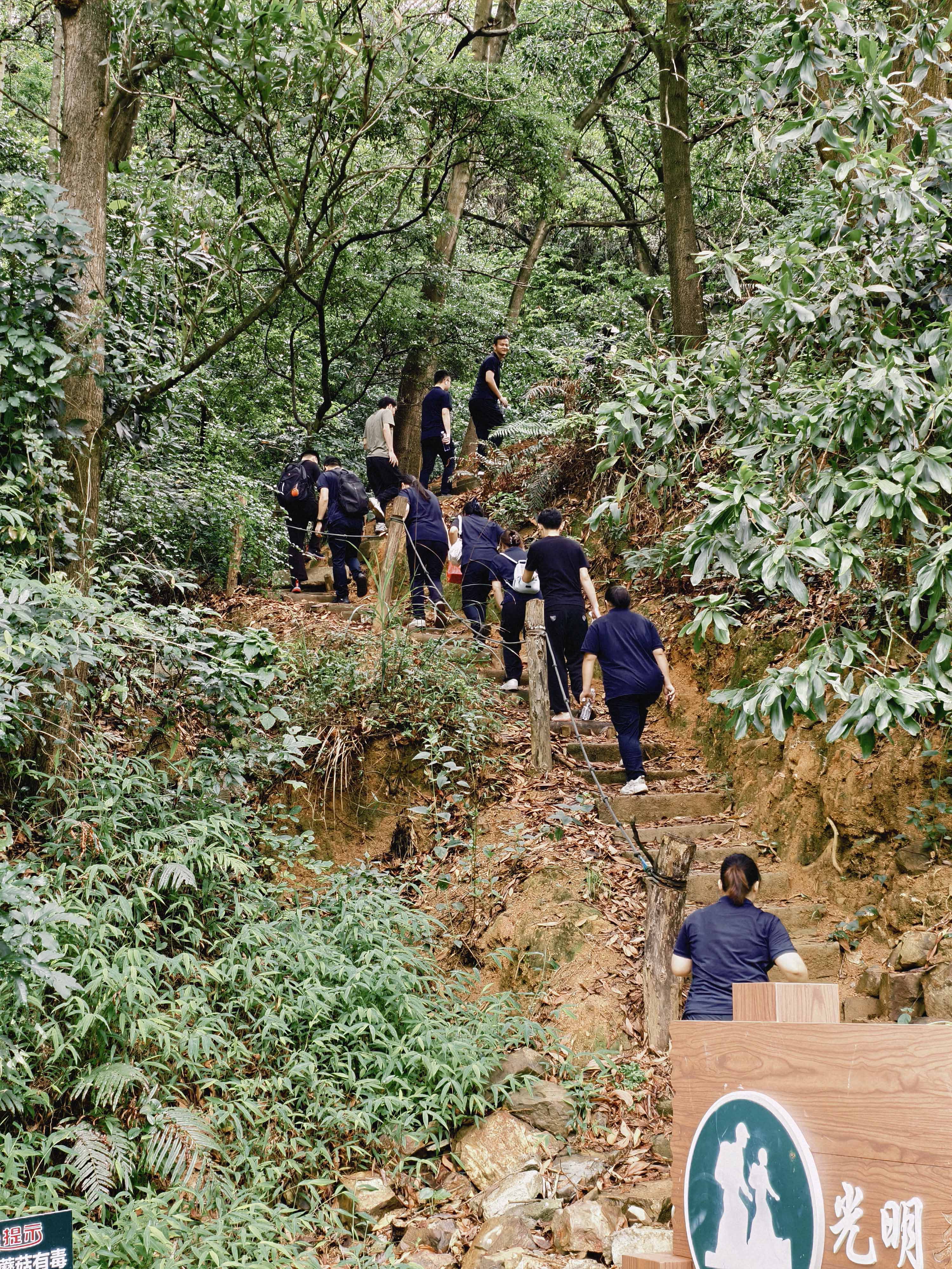 久信達科技公司員工齊聚光明區(qū)蠄蜍石，開啟活力爬山之旅暨團建活動(圖2)