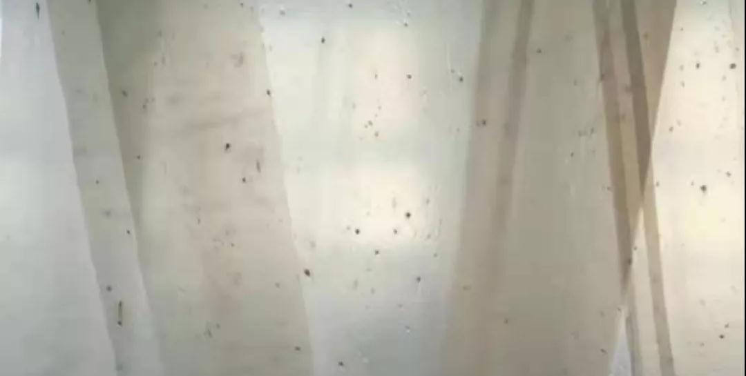 PBAT膜袋有黑點是什么原因？(圖1)